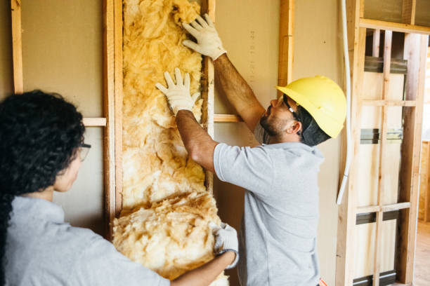 Best Attic Insulation Installation  in Park Rapids, MN